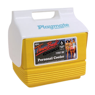 Cava Portátil Igloo Color Amarillo 3,7 Litros