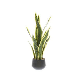 Planta artificial Sansevieria hoja larga 60 cm – verde / amarillo / negro
