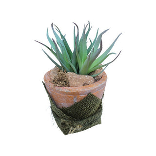 Mini Planta Artificial Bonsai Base De Terracota 12 cm