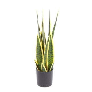 Planta artificial Sansevieria Laurentii – verde – 46 × 15 × 0.9