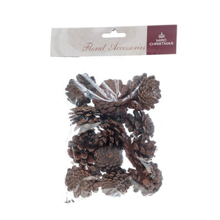 Bolsa de piñas naturales marrones de 100 g de 17 × 21 cm
