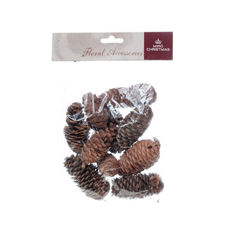 Bolsa de piñas naturales de puntas claras de 100 g de 17 × 21 cm