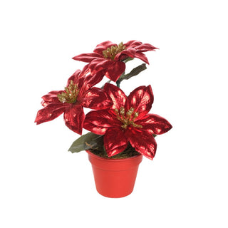 Maceta navideña con flor de Pascua roja de 20 cm