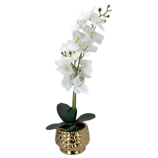 Planta Artificial Orquídea Blanca Con Base De Cerámica Dorada 48 Cm