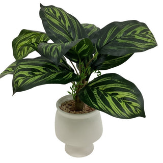 Planta Artificial Con Base De Cerámica Blanca 41 Cm