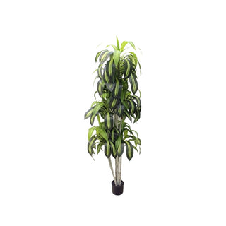 Planta artificial Drácena Variegada A 179 cm – verde / negro / crema