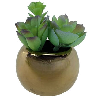 Planta Artificial Suculenta Con Base De Cerámica Dorada 9 Cm