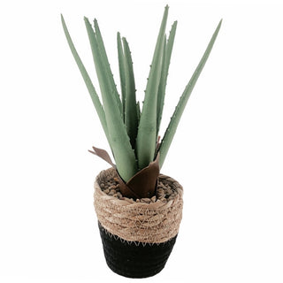 Planta Artificial Sábila Base De Cerámica/Yute 20 Cm