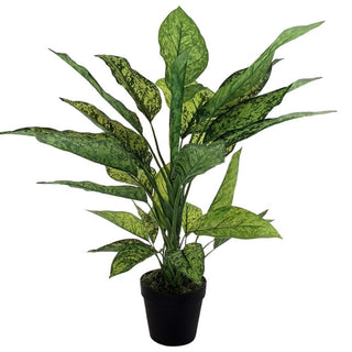 Planta Artificial Decorativa Dieffenbachia 86 Cm En Maceta