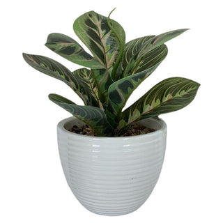 Planta Artificial Decorativa Base De Cerámica Blanca 22Cm