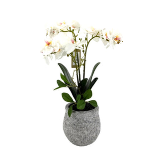 Plant artificial orquídea Phalaenopsis 54 cm – blanco / verde / gris