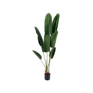 Planta artificial Ave del Paraíso 160 cm – verde / negro