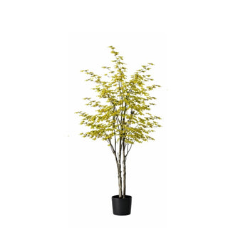 Planta Artificial Decorativa Arce Campana Japones 150 Cm