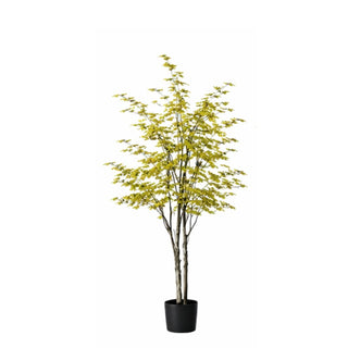 Planta Artificial Decorativa Arce Campana Japones 180 Cm