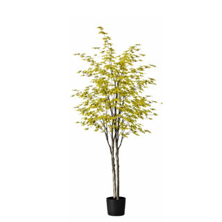 Planta Artificial Decorativa Arce Campana Japones 210 Cm