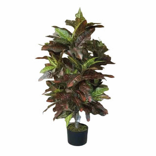 Planta Decorativa Croton   100 CM